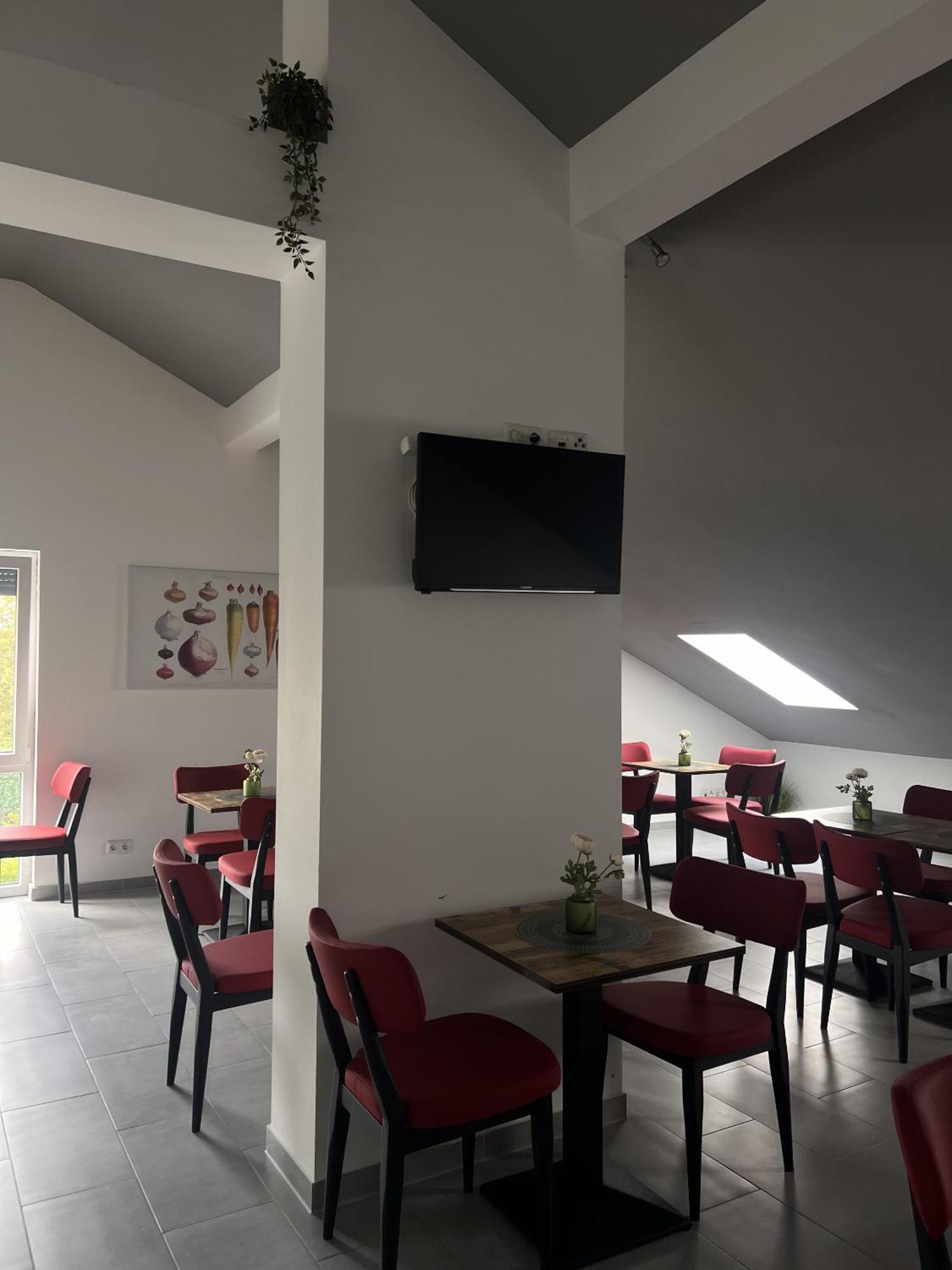 Hotel Zur Radau 巴特哈尔茨堡 外观 照片