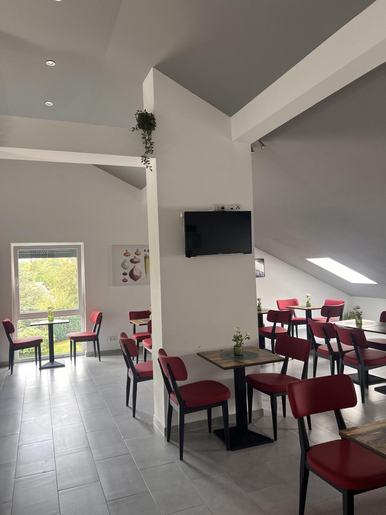 Hotel Zur Radau 巴特哈尔茨堡 外观 照片